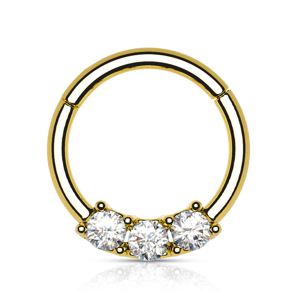 Segmentring i Titanium med Crystal