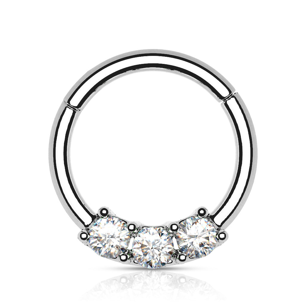 Segmentring i Titanium med Crystal