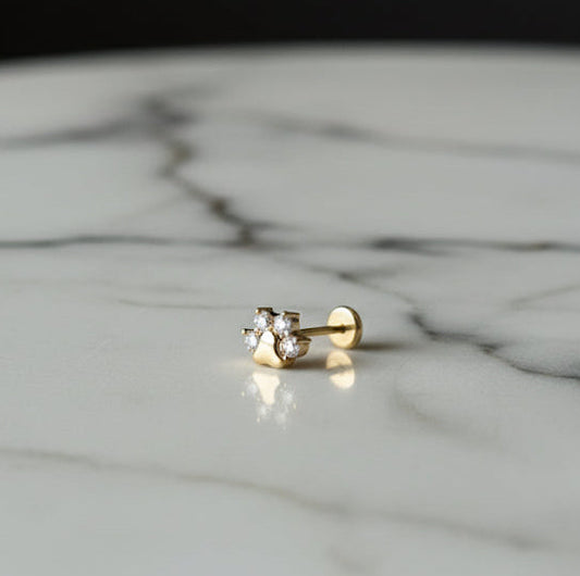 Tass labret guldpläterad 1.2mm/8mm (Limited edition)