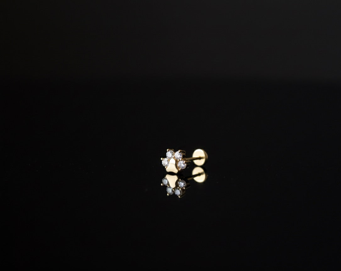 Tass labret guldpläterad 1.2mm/8mm (Limited edition)